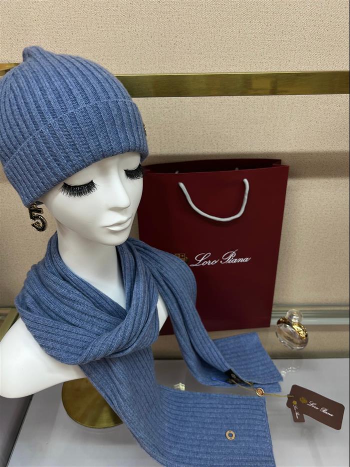 2026116112023911 100